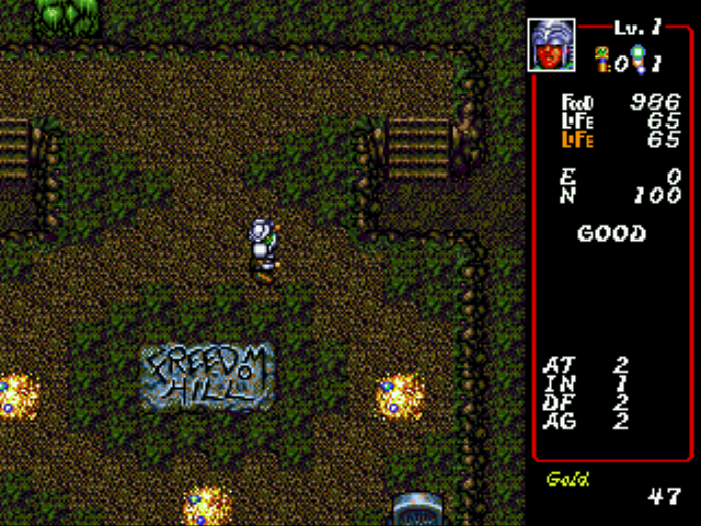 Dungeon Explorer Screenshot 1
